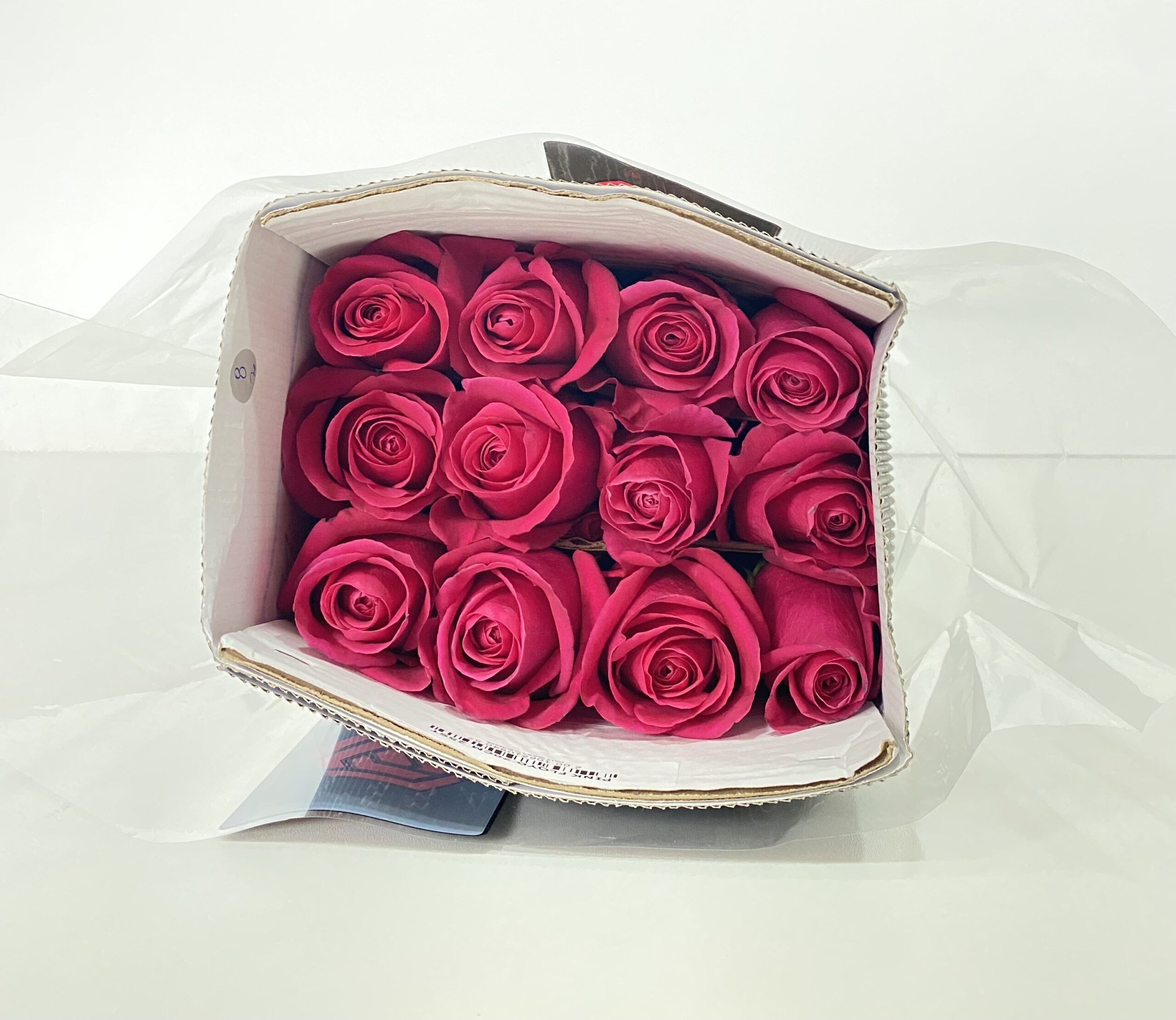 Paquete 25 Varas de rosas fucsias