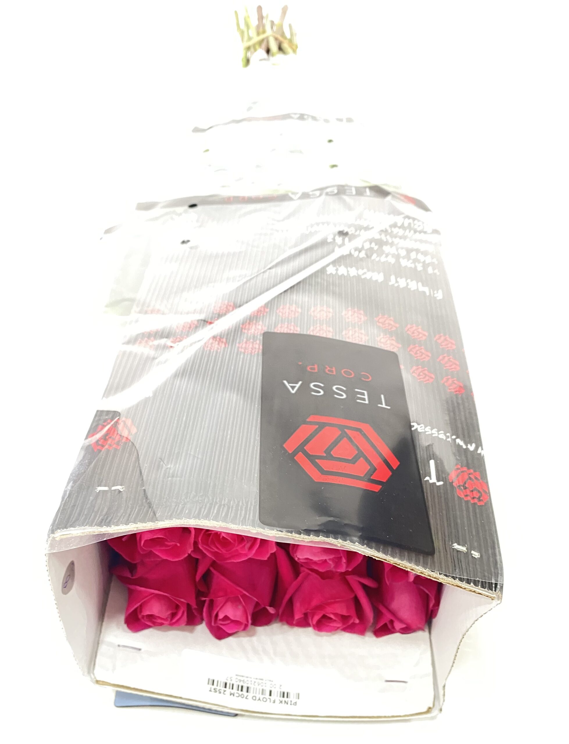 Paquete 25 Varas de rosas fucsias - Imagen 4
