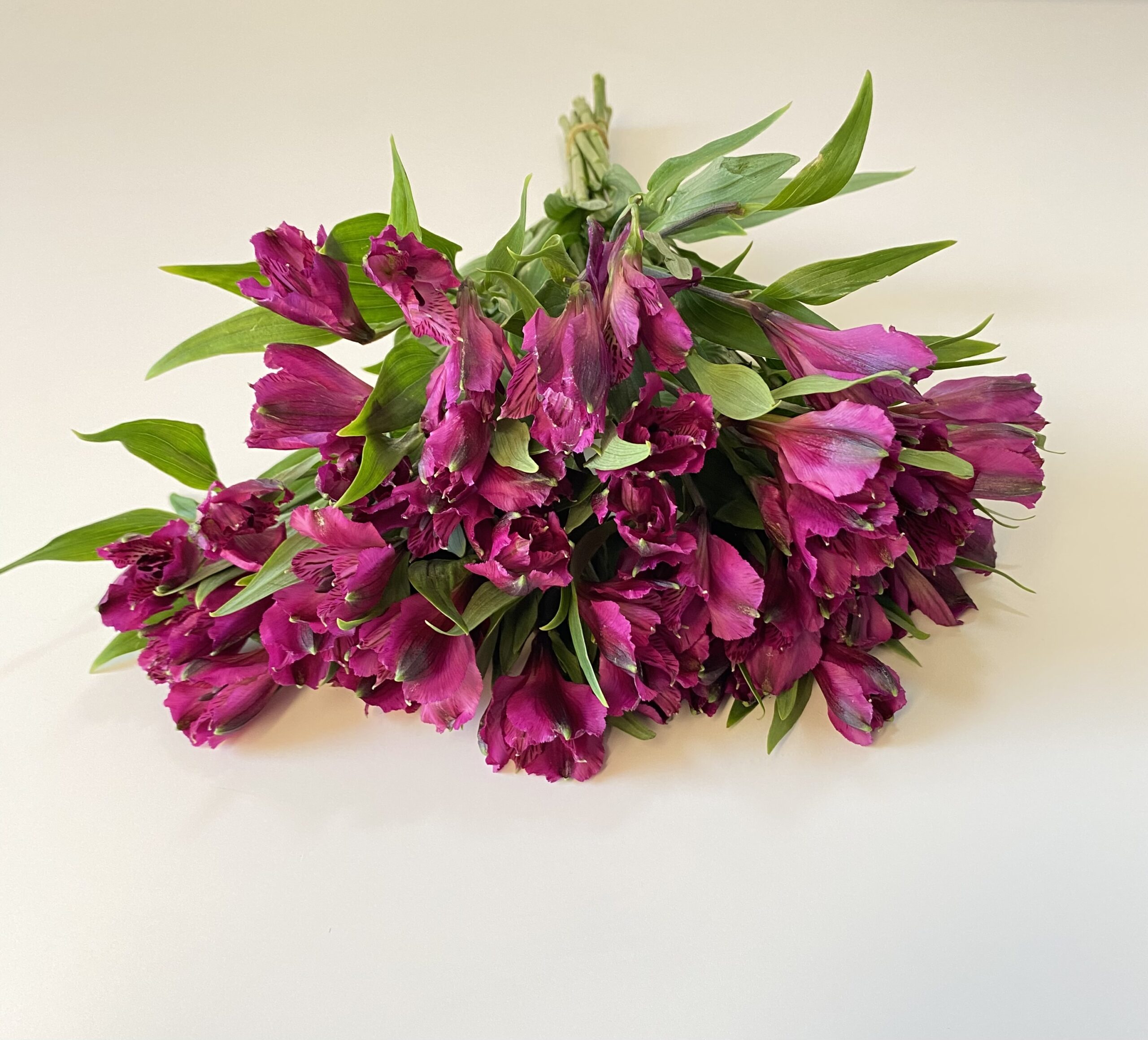 Paquete 10 Varas de alstroemeria Morada. - Imagen 2