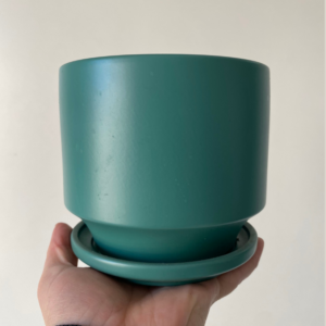 Base Ceramica verde.