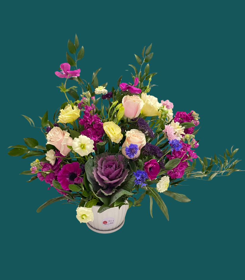 Arreglo Penélope. Anemonas y Brasica en arreglo. - Imagen 2