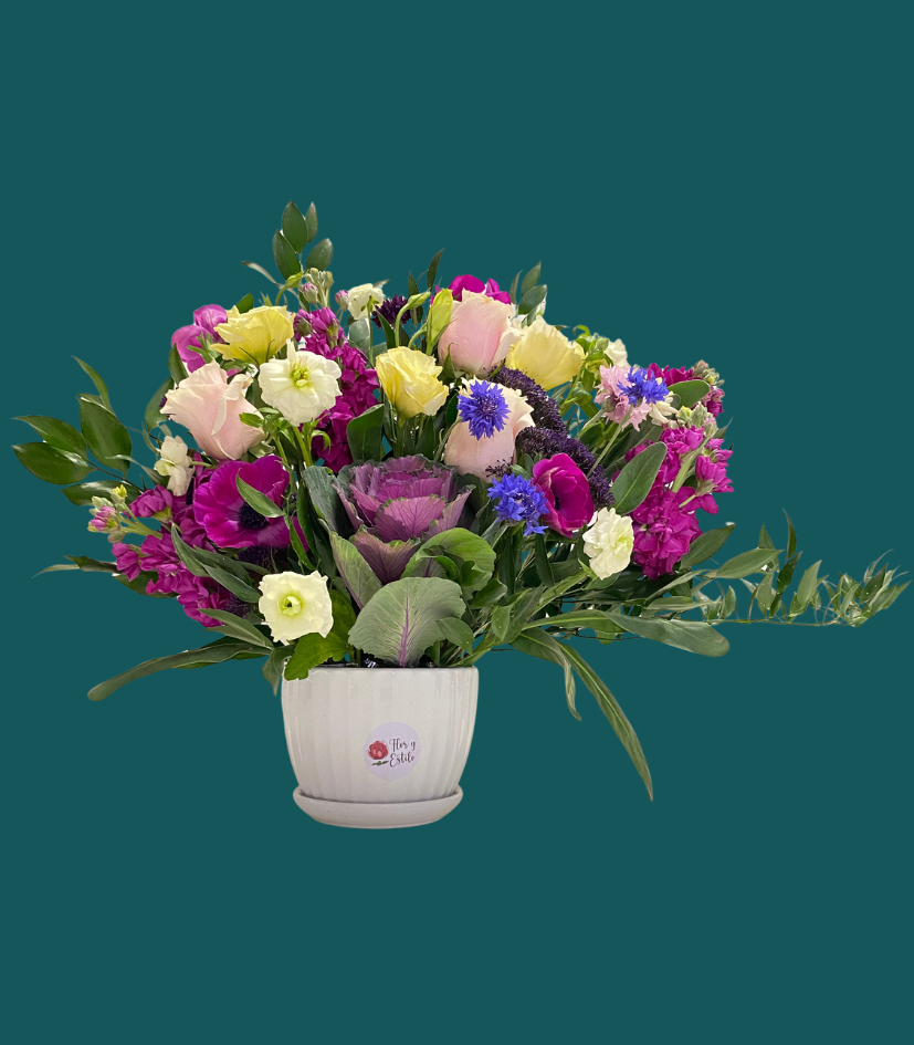 Arreglo Penélope. Anemonas y Brasica en arreglo. - Imagen 5