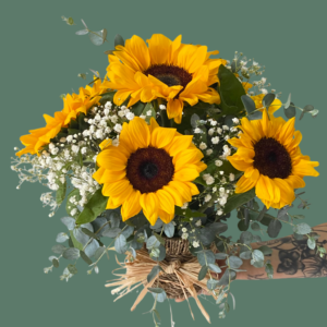 Jardín de girasoles y follaje.